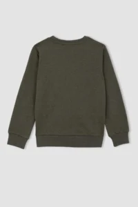 DeFacto Boys' Crew Neck Sweatshirt - Image 8