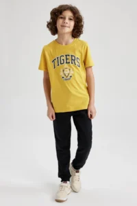 DeFacto Boy's Crew Neck Printed Short Sleeve T-Shirt Z2797a623sm - Image 2