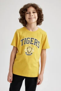 DeFacto Boy's Crew Neck Printed Short Sleeve T-Shirt Z2797a623sm - Image 3