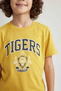 DeFacto Boy's Crew Neck Printed Short Sleeve T-Shirt Z2797a623sm - Image 4