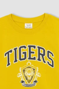 DeFacto Boy's Crew Neck Printed Short Sleeve T-Shirt Z2797a623sm - Image 7