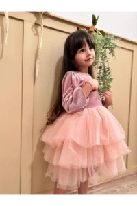penu baby kids Powder Velvet Fabric Skirt Layered Baby Girl Dress - Image 5