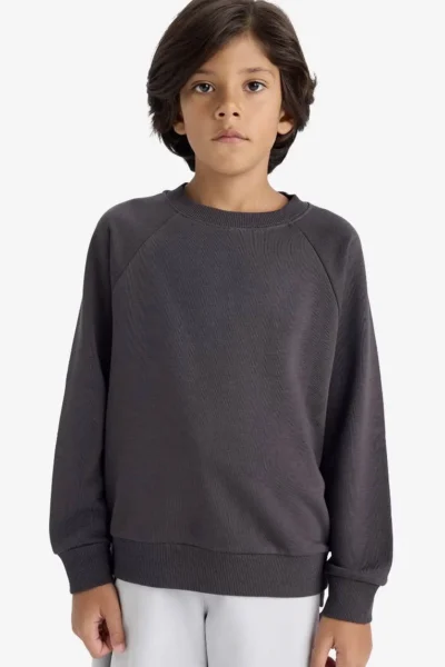 DeFacto Crew Neck Basic Plain School Sweatshirt Boy