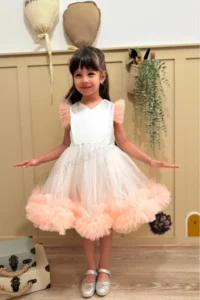 penu baby kids Salmon Carnival Detailed Short Sleeve Baby Girl Dress - Image 2