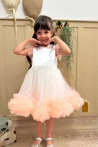 penu baby kids Salmon Carnival Detailed Short Sleeve Baby Girl Dress - Image 3