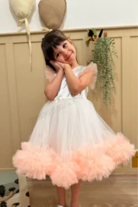 penu baby kids Salmon Carnival Detailed Short Sleeve Baby Girl Dress - Image 4