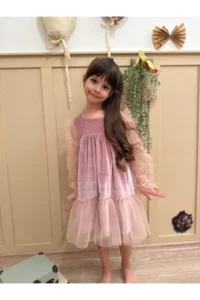penu baby kids Powder Ruffled Hem Long Ruffle Tulle Sleeve Velvet Fabric Girls' Dress