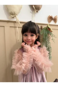 penu baby kids Powder Ruffled Hem Long Ruffle Tulle Sleeve Velvet Fabric Girls' Dress - Image 5