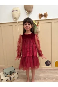 penu baby kids Burgundy Hem Long Ruffle Tulle Sleeve Velvet Fabric Girl's Baby Girl Dress - Image 2