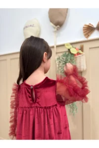 penu baby kids Burgundy Hem Long Ruffle Tulle Sleeve Velvet Fabric Girl's Baby Girl Dress - Image 4