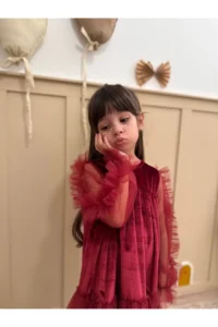 penu baby kids Burgundy Hem Long Ruffle Tulle Sleeve Velvet Fabric Girl's Baby Girl Dress - Image 5