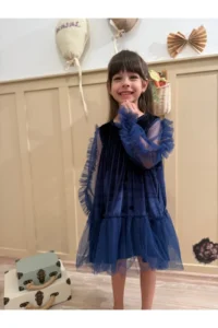 penu baby kids Navy Blue Ruffled Hem Long Ruffle Tulle Sleeve Velvet Fabric Girls' Baby Girl Dress