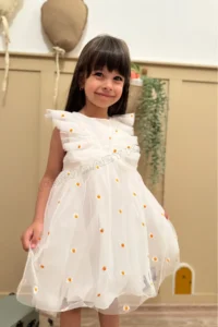 penu baby kids White Sleeveless Ruffle Detailed Daisy Embroidered Baby Girl Dress