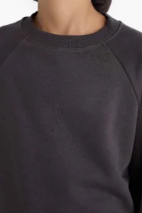 DeFacto Crew Neck Basic Plain School Sweatshirt Boy - Image 6