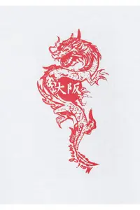 Mavi Dragon Printed Ecru T-Shirt Oversize / Wide Cut -70057 - Image 7