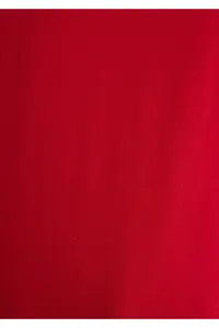 Mavi Logo Printed Red T-Shirt Slim Fit / Slim Fit - Image 8