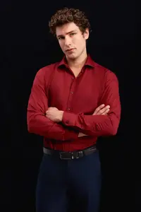 D'S Damat Ds Damat Slim Fit Claret Red Classic Tie Holder Long Sleeve Easily Ironable Shirt - Image 2