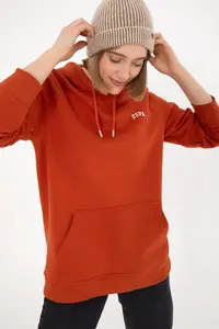 US Polo Assn. Men Hooded Brick Rejection Basic Fleece Sweatshirt - Image 3