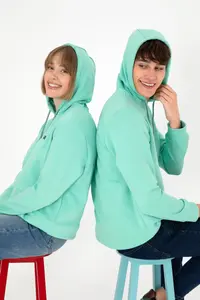 US Polo Assn. Men Hooded Mint Basic Fleece Sweatshirt