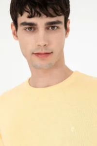 Pierre Cardin Light Yellow slim Fit Crew Neck Basic Knitwear Sweater - Image 2