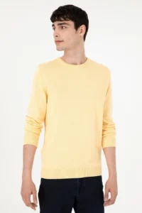Pierre Cardin Light Yellow slim Fit Crew Neck Basic Knitwear Sweater - Image 3