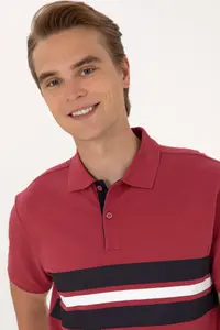 US Polo Assn. Men Regular Fit Cherry Polo Shirt Collar T-Shirt - Image 2