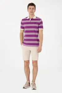 US Polo Assn. Men Regular Fit Polo Shirt Collar Violet Striped T-Shirt - Image 4