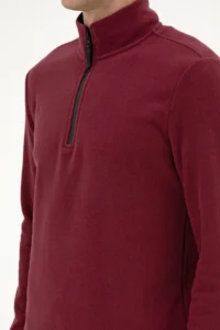 US Polo Assn. Men Regular Fit Dark Burgundy Fleece Half Zippered Basic Sweatshirt - Image 7