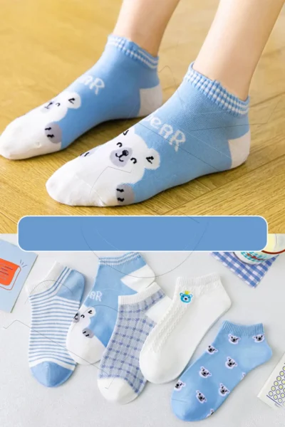 BGK-BR-2SS5-COLORFUL_1
