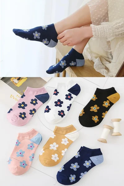 BGK-CCK-DS-21-COLORFUL_1