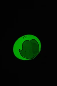 DeFacto Baby Boy Pajama Set Glow in the Dark Crew Neck Combed Cotton Printed Short Sleeve Shorts - Image 2