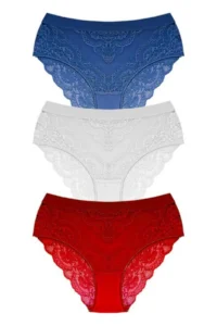 Cottonhill Lace Transparent Back Large Size Bikini Panties 3 Pack-2