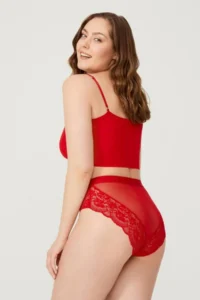 Cottonhill Lace Transparent Back Large Size Bikini Panties 3 Pack-2 - Image 2