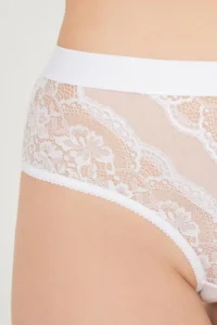 Cottonhill Lace Transparent Back Large Size Bikini Panties 3 Pack-2 - Image 3