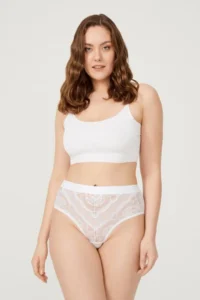 Cottonhill Lace Transparent Back Large Size Bikini Panties 3 Pack-2 - Image 4