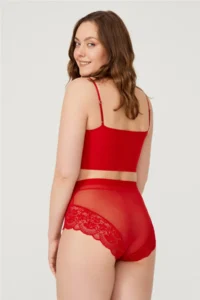 Cottonhill Lace Detailed Transparent Large Size Bikini Panties 3 Pack - Image 2