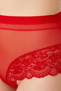 Cottonhill Lace Detailed Transparent Large Size Bikini Panties 3 Pack - Image 4