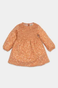 DeFacto Baby Girl Floral Long Sleeve Buttoned Twill Dress