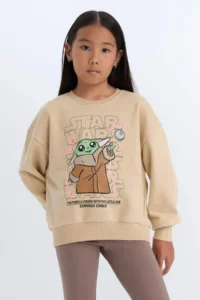 DeFacto Sweat Shirt