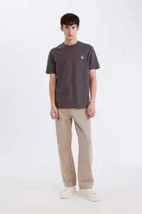 DeFacto 100% Cotton Regular Fit Crew Neck Back Printed Short Sleeve T-Shirt - Image 2