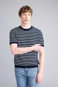 DeFacto Standard Fit Crew Neck Striped Knitwear Short Sleeve T-Shirt - Image 3