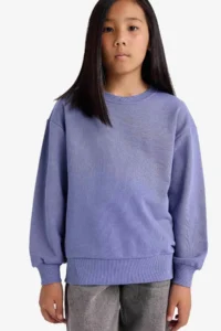 DeFacto Sweat Shirt (25 AU) - Image 3