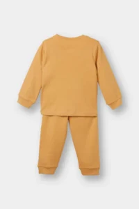 DeFacto Baby Boy Pajama Set Lion Printed Long Sleeve Top Long Bottom - Image 4