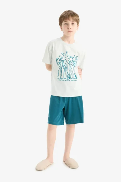 F1735A825HS-MULTICOLORED_1