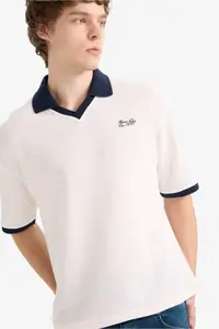DeFacto textured Boxy Fit Polo Shirt T-Shirt - Image 3