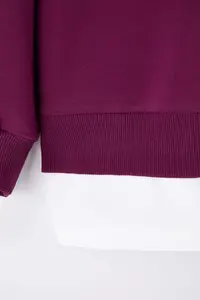 Trendyol Curve Plum Thin Knitting Plus Size Sweatshirt - Image 6