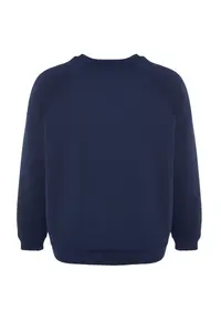 Trendyol Curve Navy Blue Thick Embroidery Detailed Knitting Plus Size Sweatshirt - Image 8