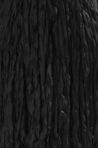 Trendyol Curve Black Wrinkled Look Weaving Midi Plus Size Skirt - Image 2