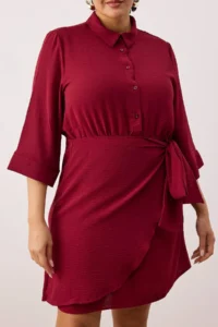 Trendyol Curve Cherry Aerobin Mini Weaving Plus Size Dress - Image 3