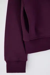 Trendyol Curve Purple Regular Fit Draped Material Front Zippered Plus Size Sweatshirt - Image 6